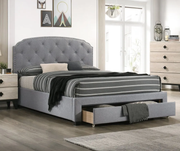 Olley Bed With Storage- T/F/Q/K/EK Size