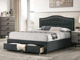 Oberyn Bed With Storage- T/F/Q Size